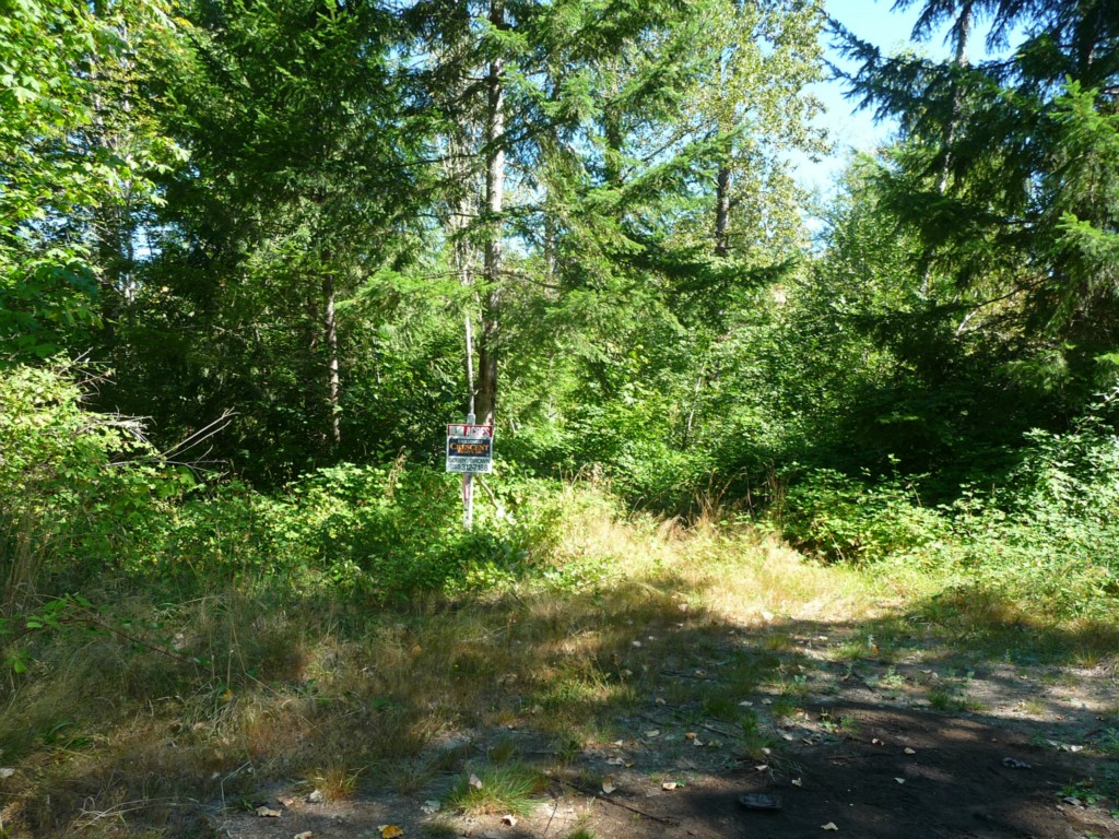 318th St E Unit  Kapowsin WA 98344