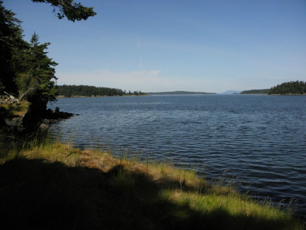 55 Sunnyside Ln Unit  Crane Island WA 98243