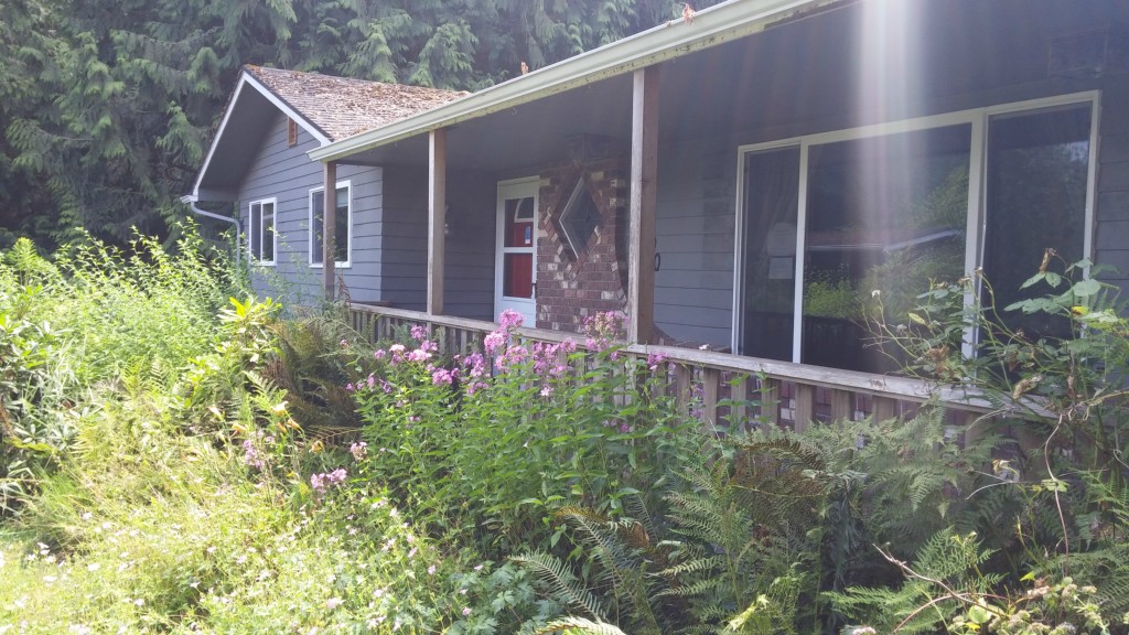 16690 Mountain View Rd Big Lake WA 98274