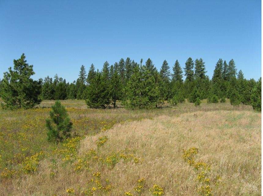 36000 N Cedar Rd Deer Park WA 99006