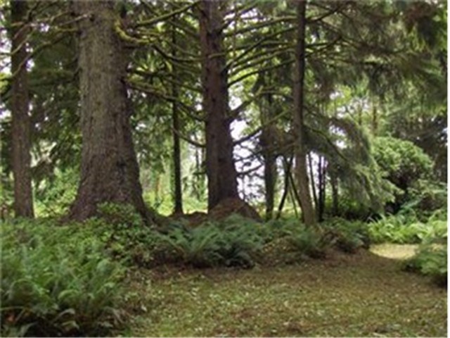 Ocean View Dr S Unit  Taholah WA 98587