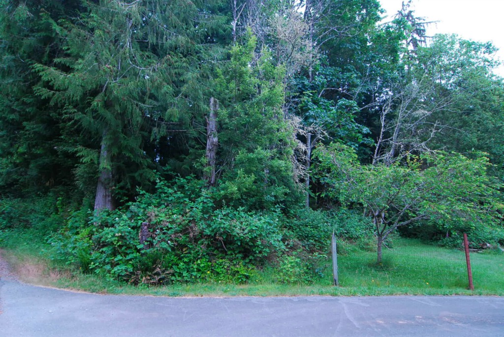 4456 Eastway Dr SE Southworth WA 98366