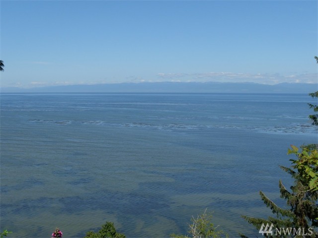 999 Lot 1 E Dew Knot Enter Rd Unit  Joyce WA 98363