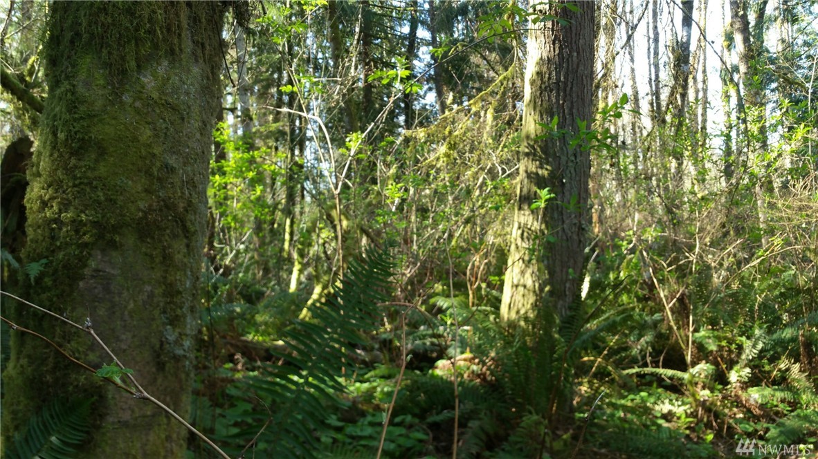 Old Highway 99 N Alger WA 98284