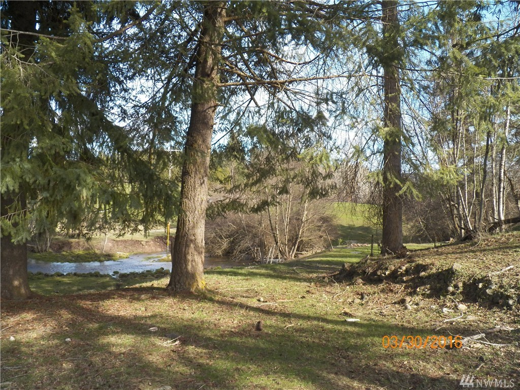 3956 A Hwy 231 Springdale WA 99173