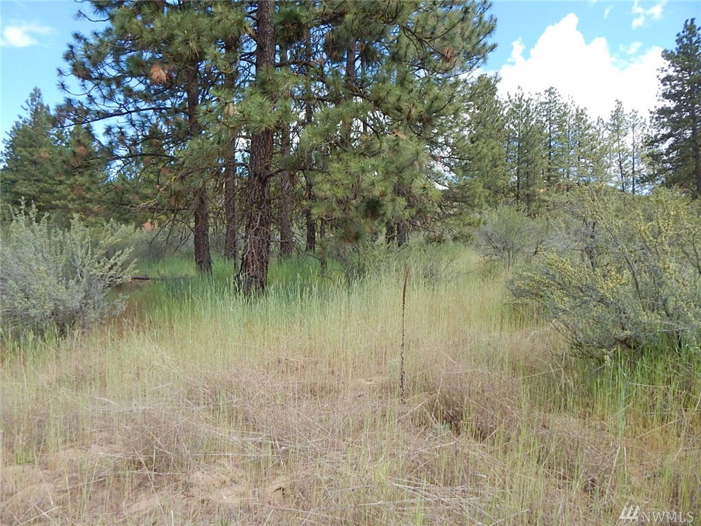 25860 Lot 25 Rock Bluff E Unit  Lincoln WA 99147