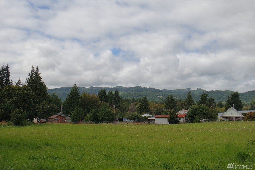 190 Stevens Rd Doty WA 98572